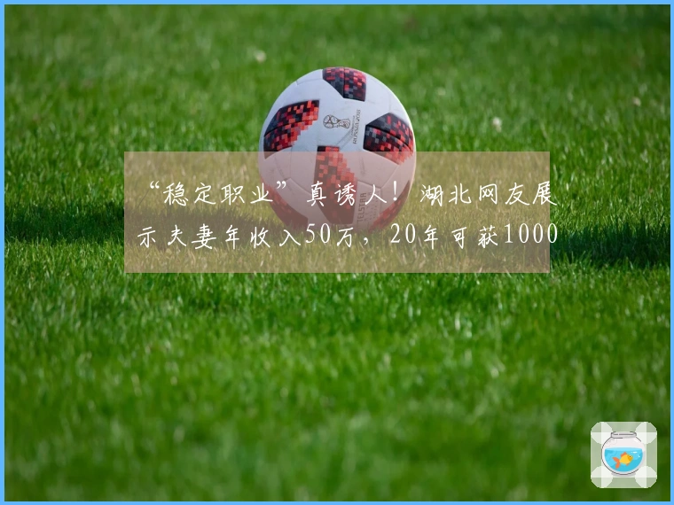“稳定职业”真诱人!湖北网友展示夫妻年收入50万,20年可获1000万