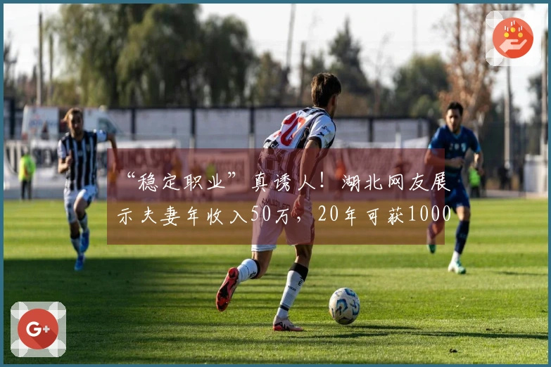 “稳定职业”真诱人！湖北网友展示夫妻年收入50万，20年可获1000万